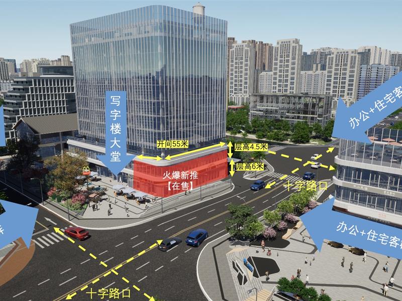 高新区独栋现铺